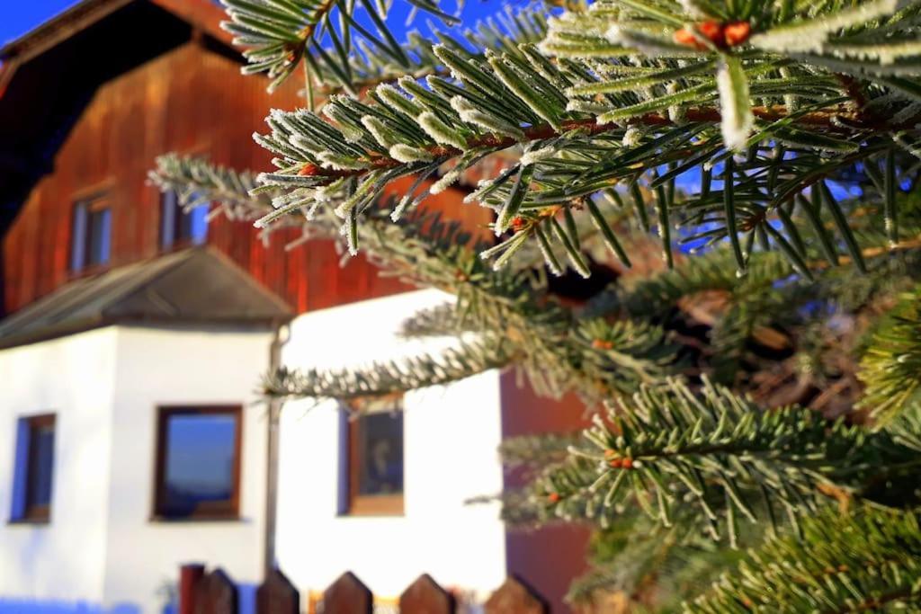 "Stone'S Throw" Krumlov 5 Min By Car, Lipno 15 Min By Car, 2 Bdrooms,Playroom Kajov Bagian luar foto